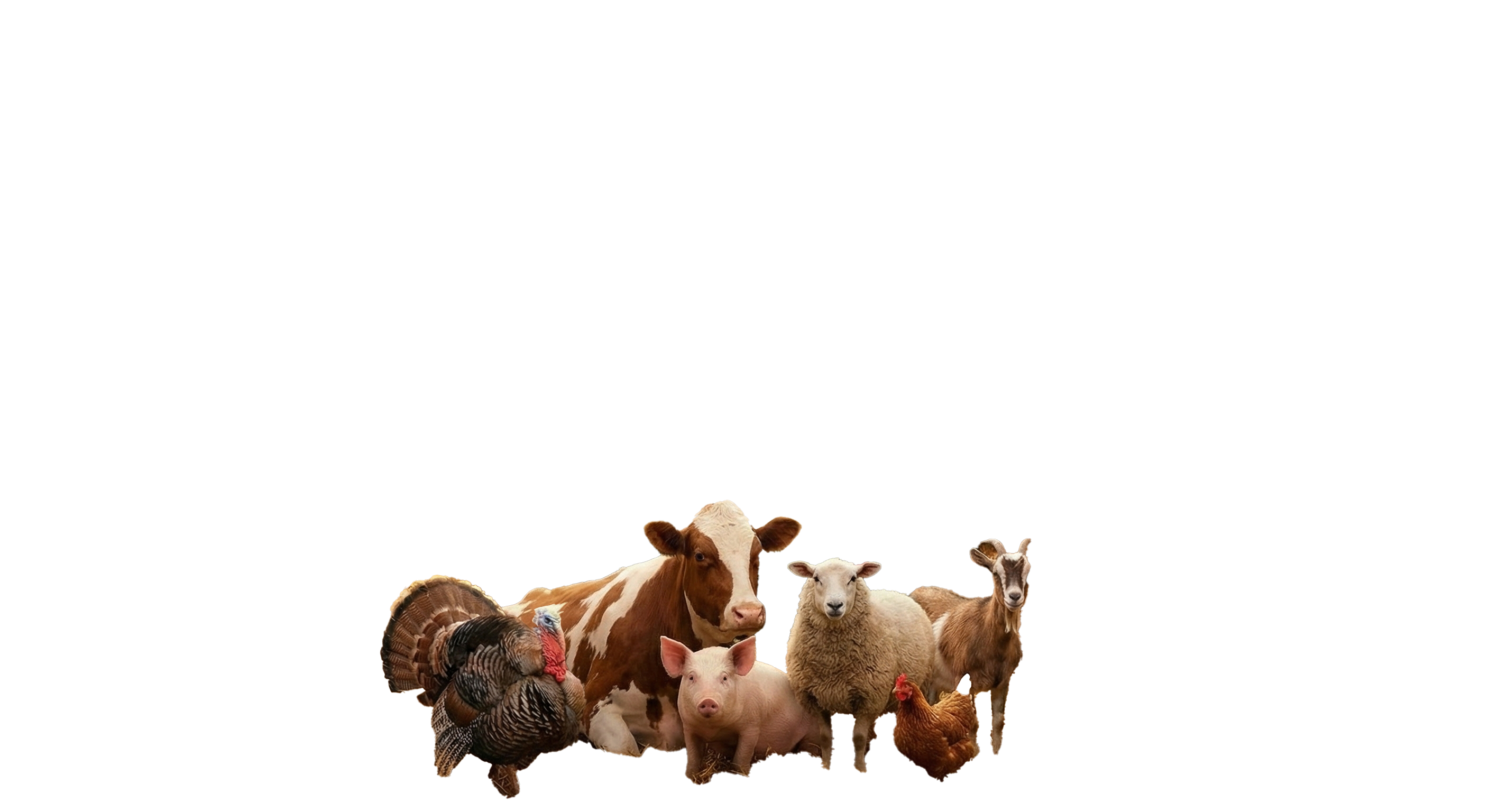 Fundraiser Header Image