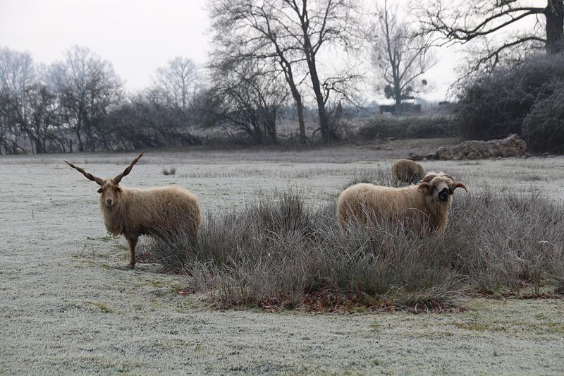 Image de couverture de Domaine des Douages