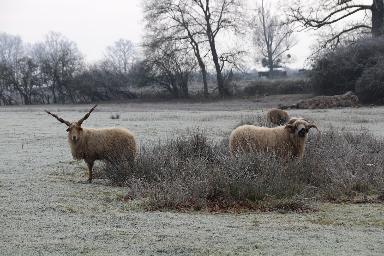 Image de couverture de Domaine des Douages
