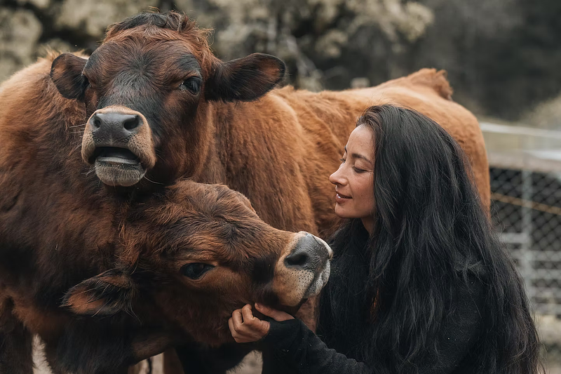 Image de couverture de Co&xister